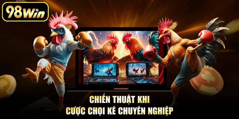 Chiến thuật khi cược chọi kê chuyên nghiệp