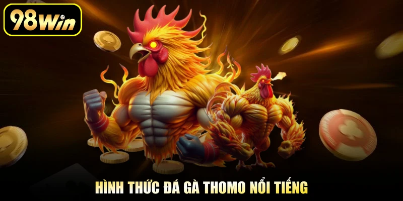 Hình thức đá gà Thomo nổi tiếng
